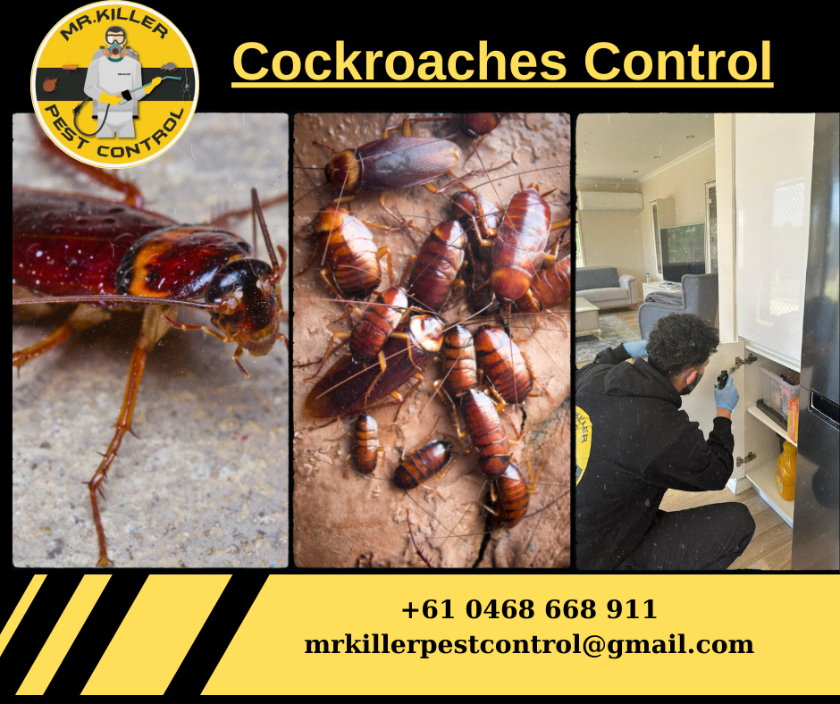 Cockroaches Control Moonee Ponds, Vic 3039