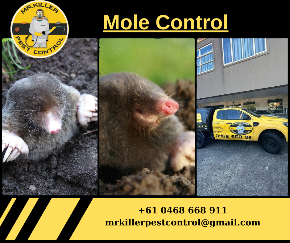 Moles Control Airport West, Vic 3042