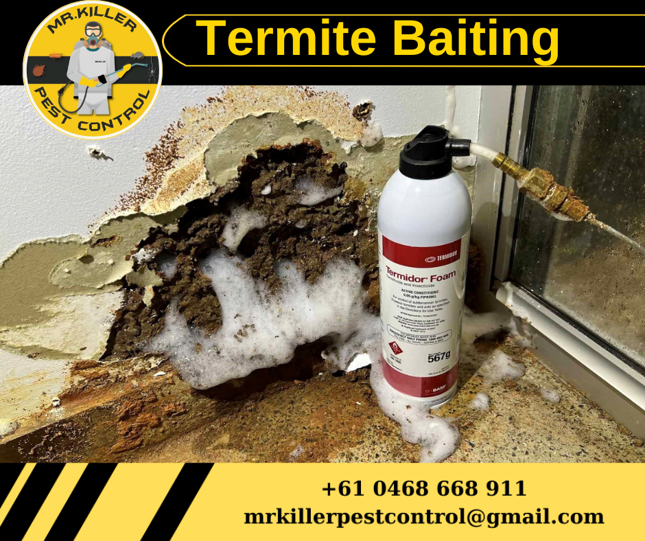 Termite Baiting Pascoe Vale, Vic 3044