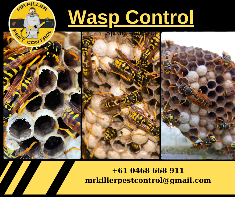 Bee Control & Wasps Control And Removal Keilor, Vic 3036
