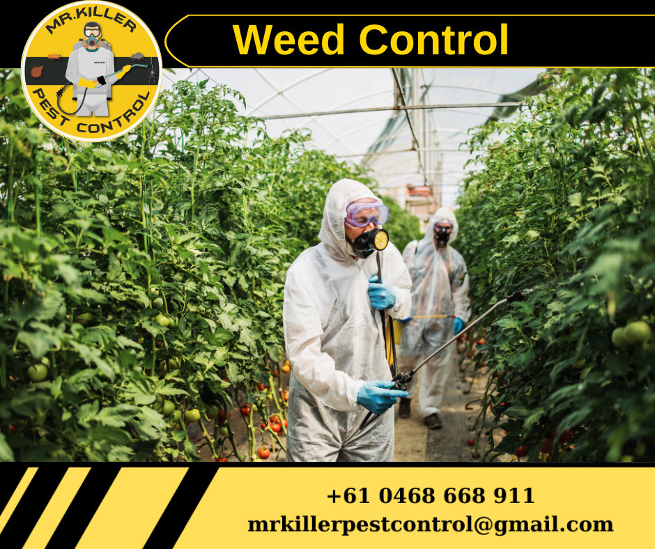 Weed Control Niddrie, Vic 3042