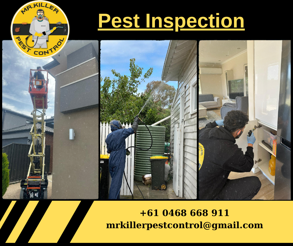 Pest inspection