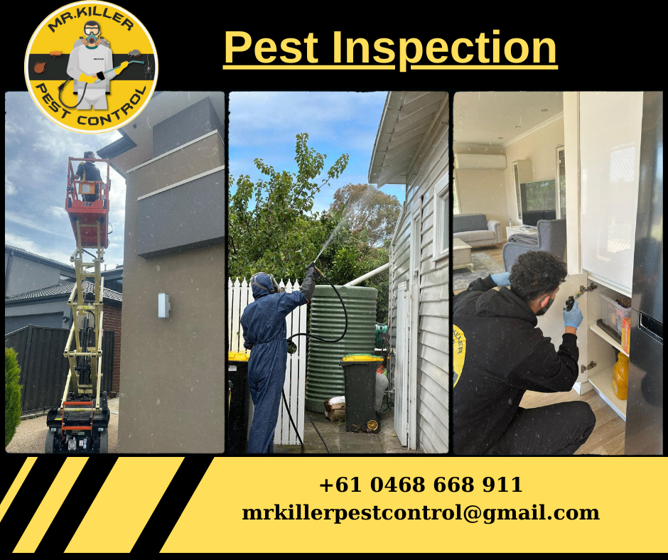 Pest Inspection Essendon West, Vic 3040