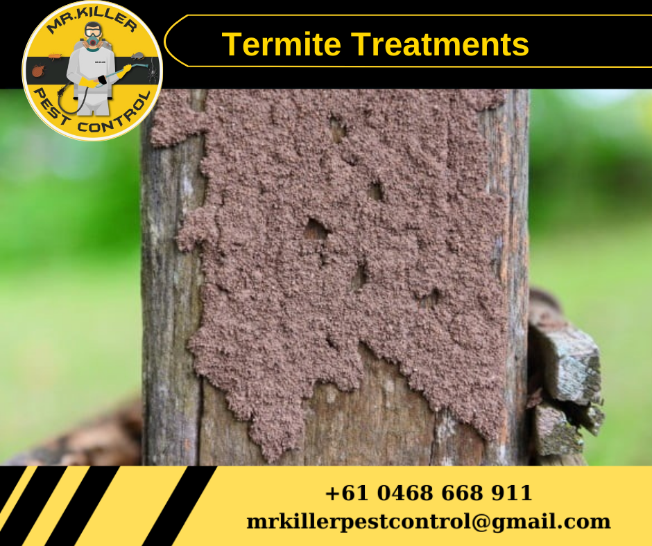 Termite Treatment Service Near Me Vic, Seville East 3139