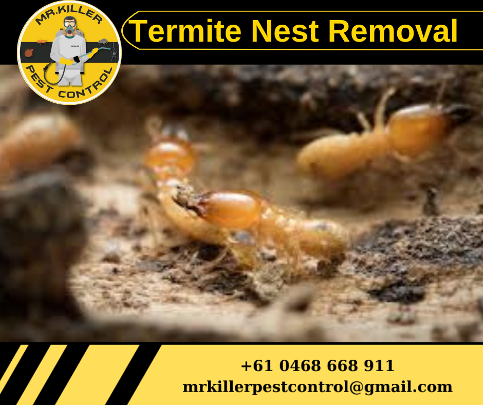 Termite Control Vic, Alphington 3078
